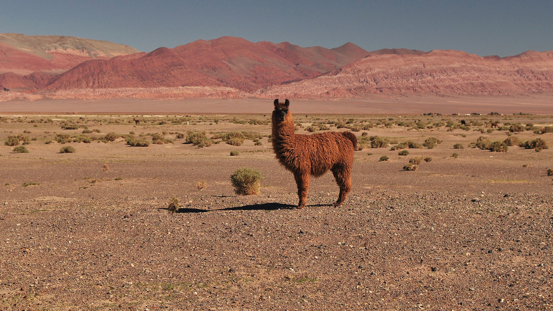 Paisajes de Argentina